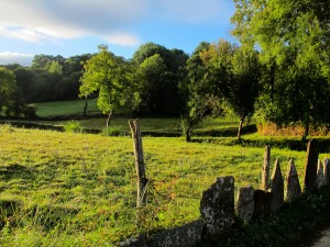 Spain- Camino de Santiago