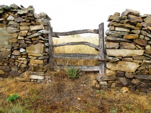 Spain- Camino de Santiago