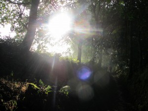Spain- Camino de Santiago