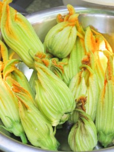 Greece- Zucchini Blossoms