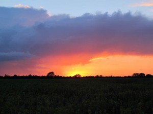 Firey Sky- Ely, UK