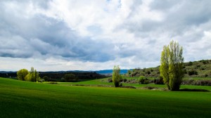 Spain- Camino de Santiago