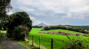 Spain- Camino de Santiago