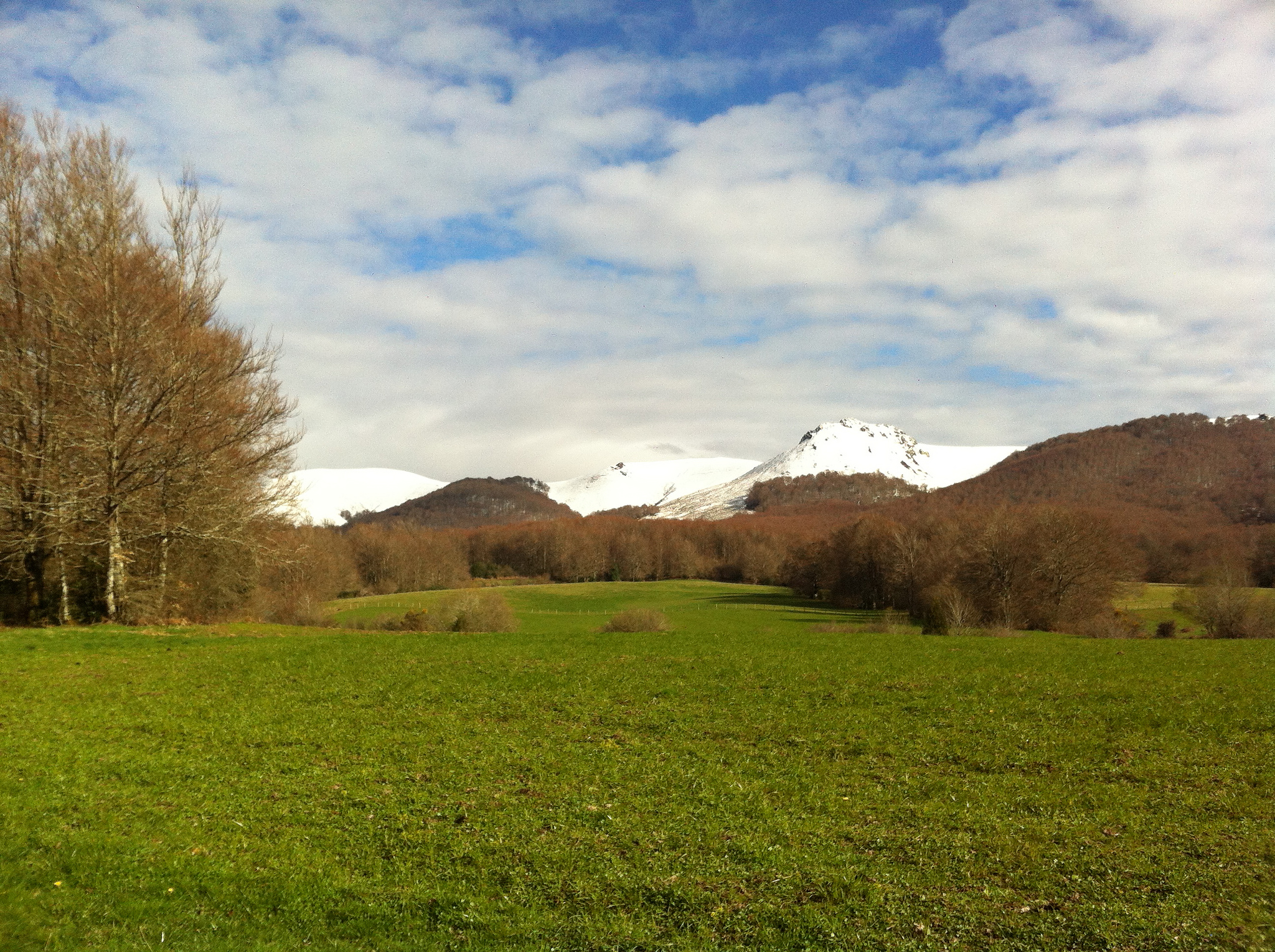 Spain- Camino de Santiago
