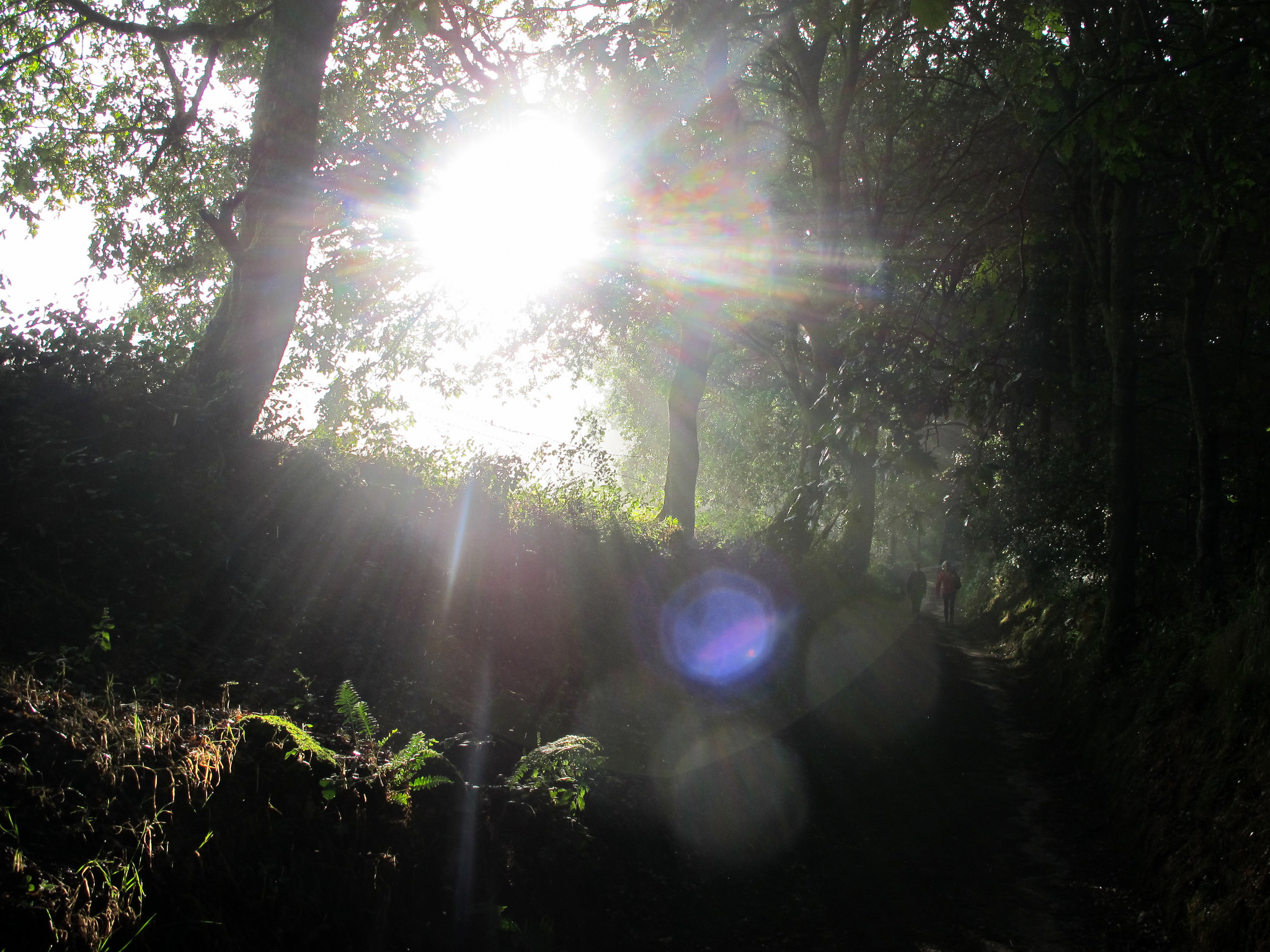 Spain- Camino de Santiago