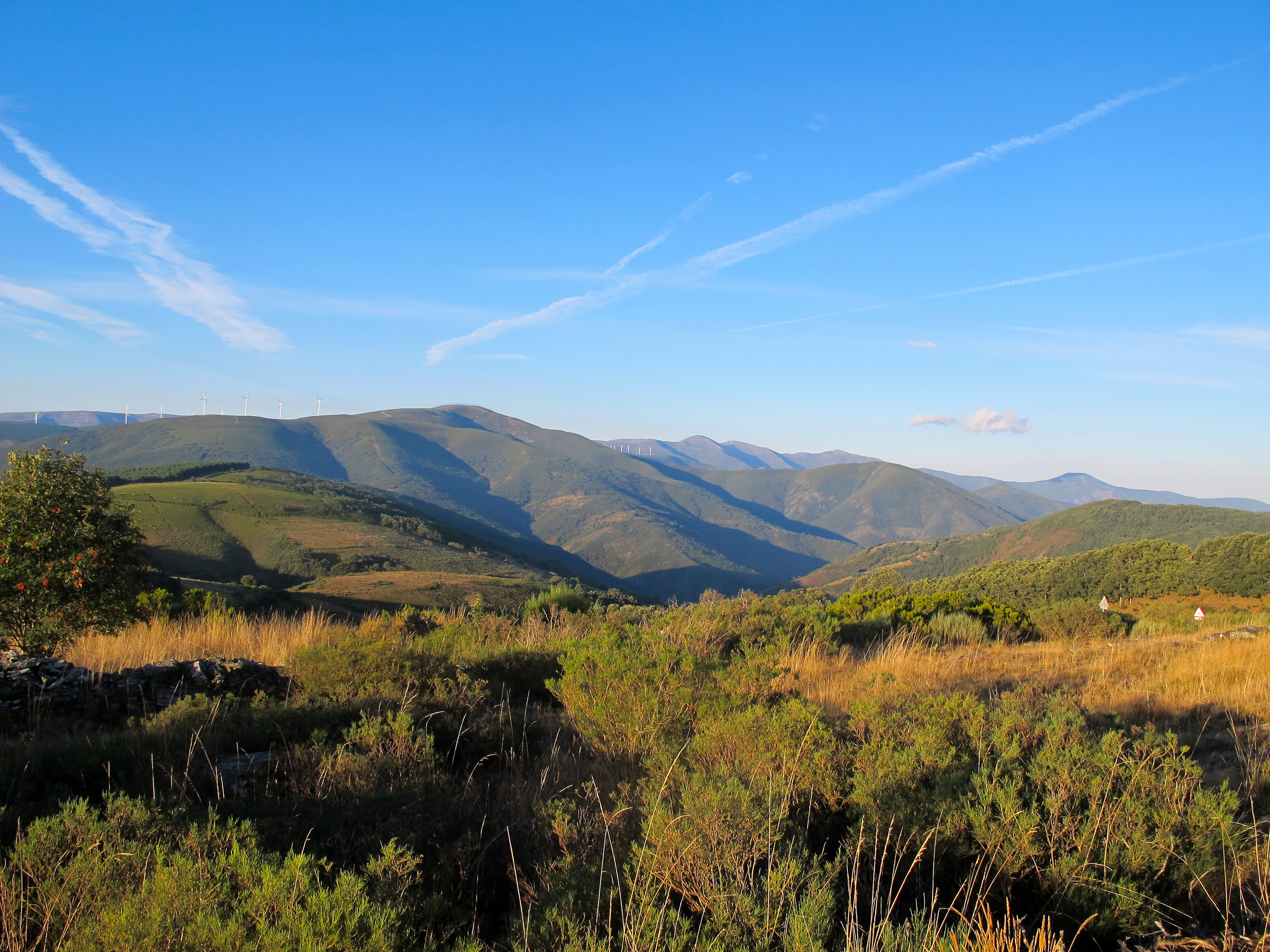 Spain- Camino de Santiago