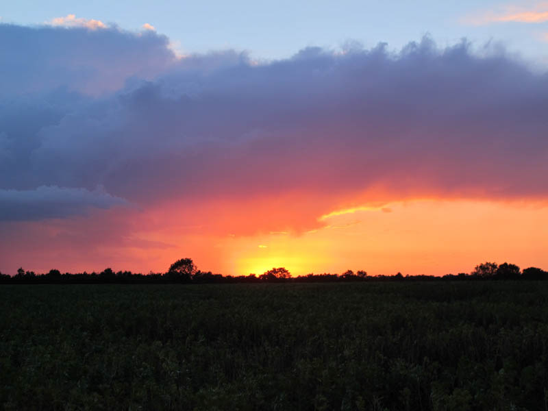 Firey Sky- Ely, UK