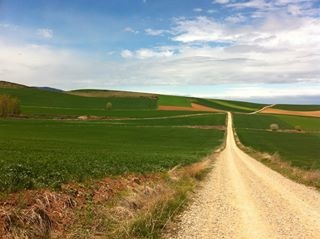 Spain- Camino de Santiago