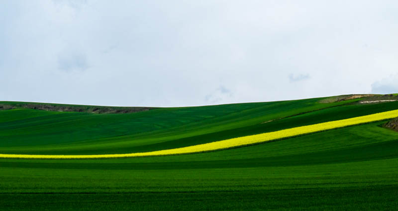 Spain- Camino de Santiago