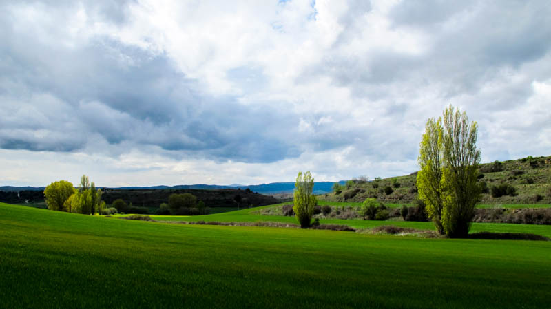 Spain- Camino de Santiago