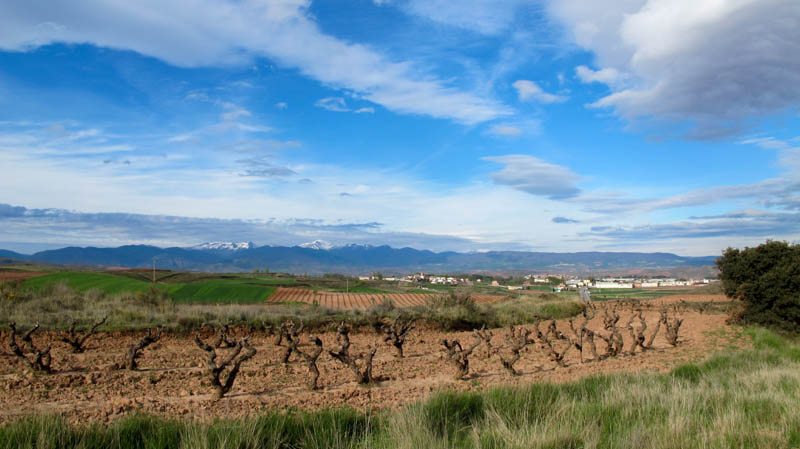 Spain- Camino de Santiago
