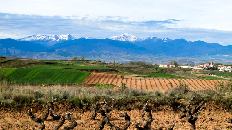 Spain- Camino de Santiago