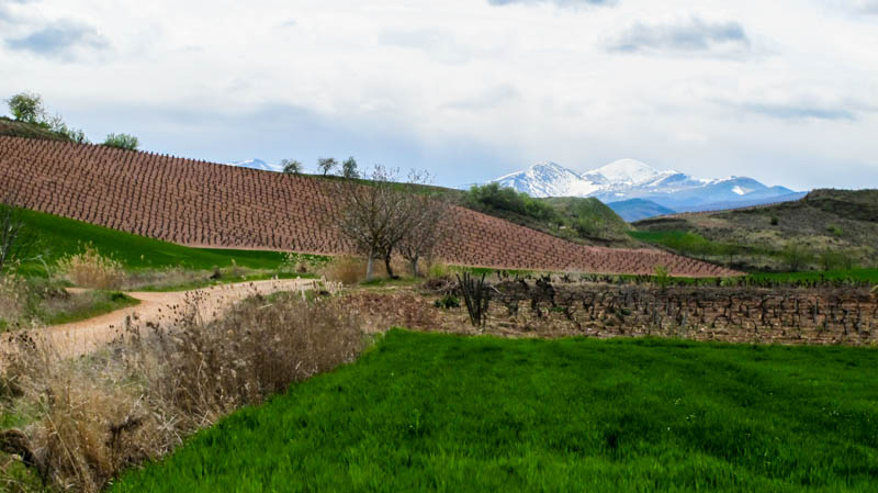 Spain- Camino de Santiago