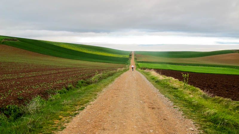 Spain- Camino de Santiago