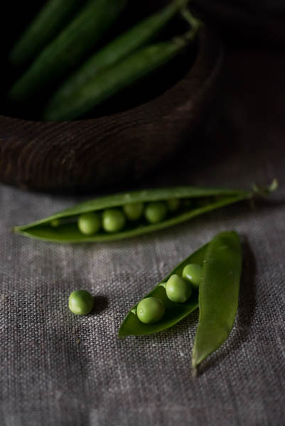 Chinon Plated Stories April 2015-173