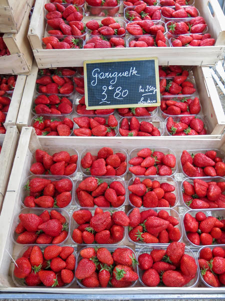 Chinon Plated Stories April 2015-111