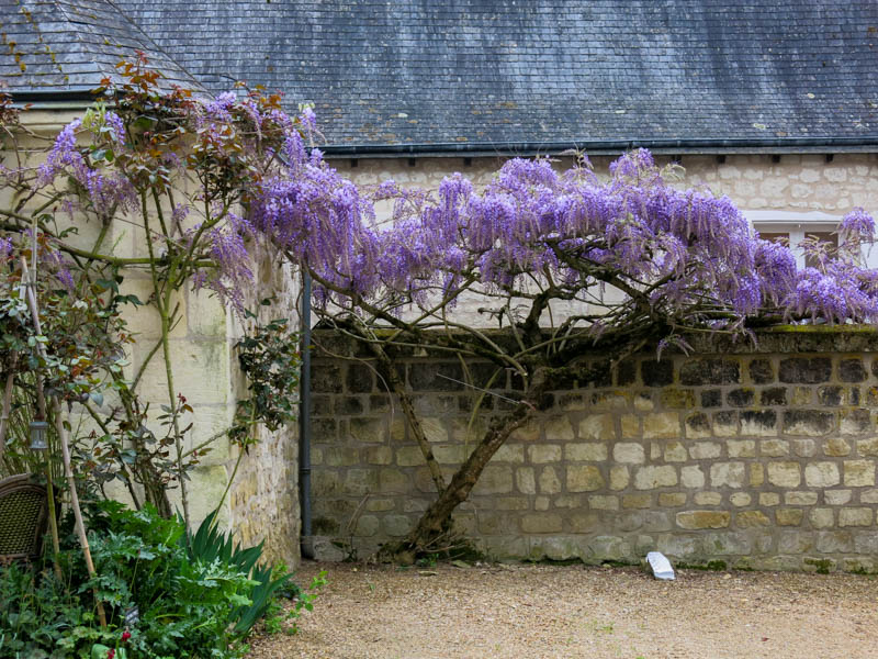 Chinon Plated Stories April 2015-229